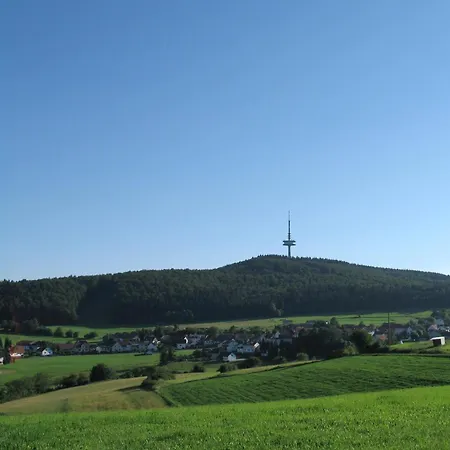 Penzion Zum Hohen Lohr 3*