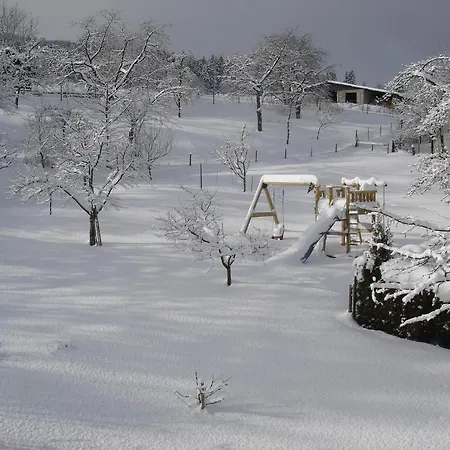 Penzion Zum Hohen Lohr 3*