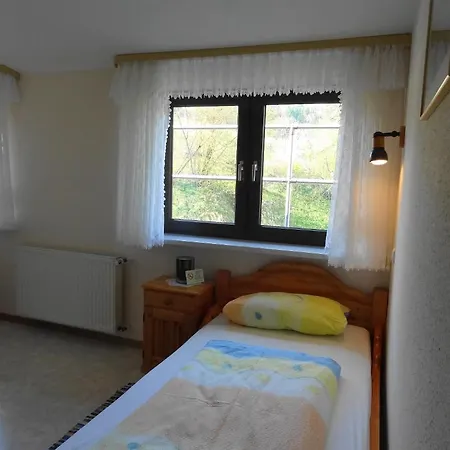 Penzion Zum Hohen Lohr 3*